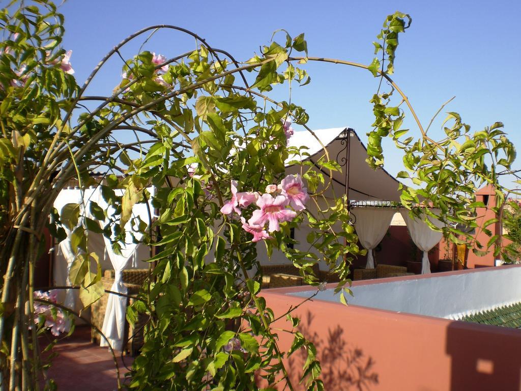 Riad Mariana Marrakesh Exterior photo