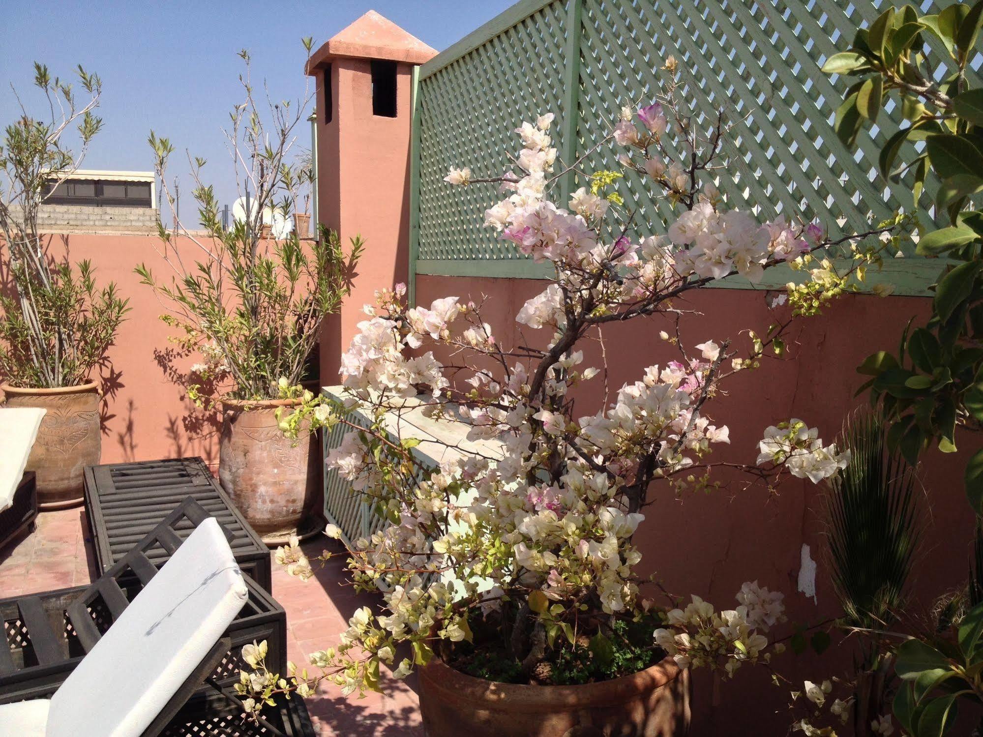 Riad Mariana Marrakesh Exterior photo